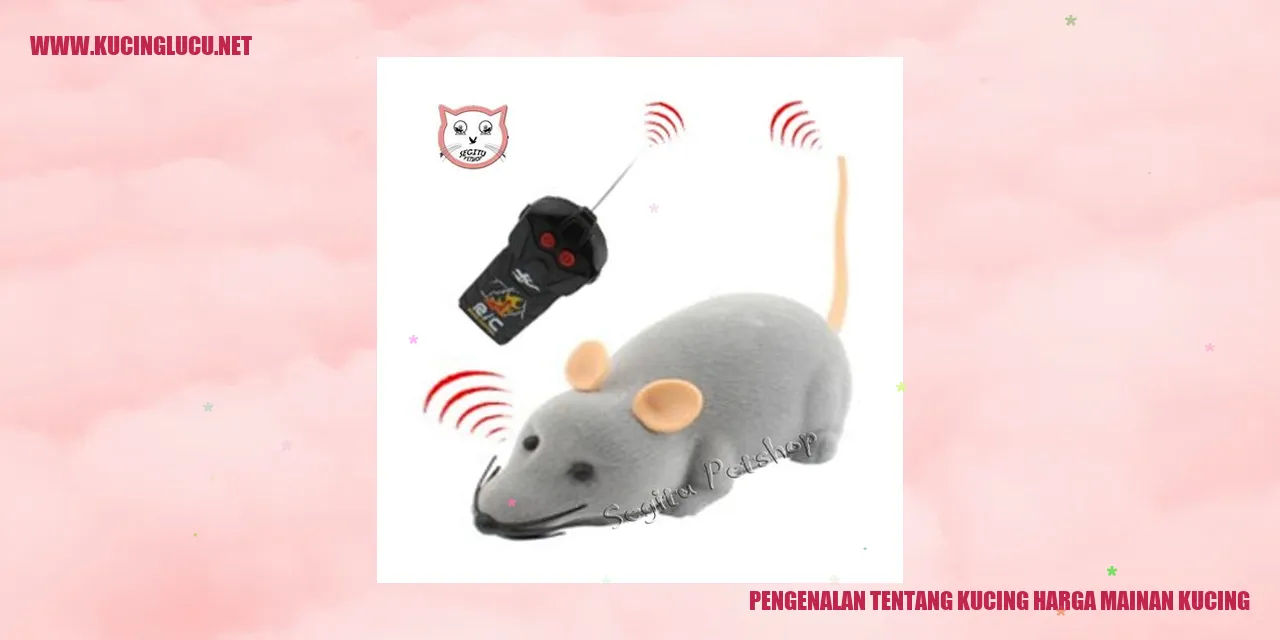 Gambar Kucing Harga Mainan Kucing