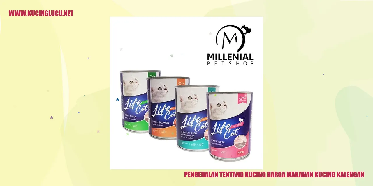 Gambar Kucing