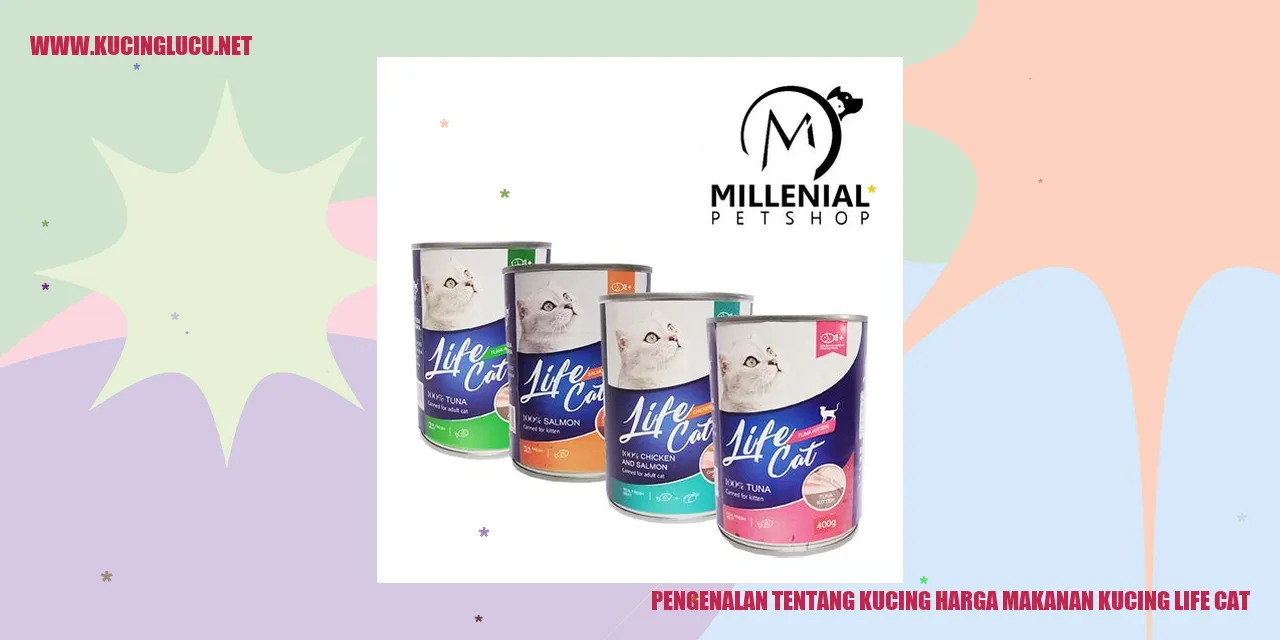 Gambar Kucing