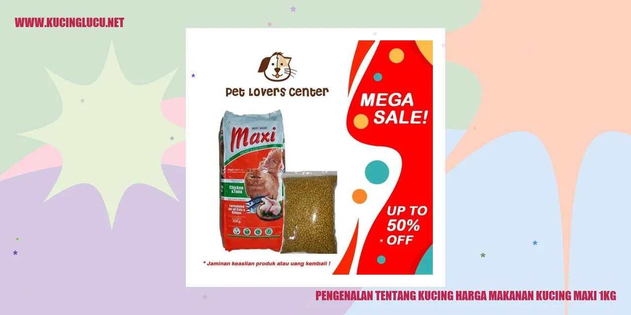 Gambar kucing