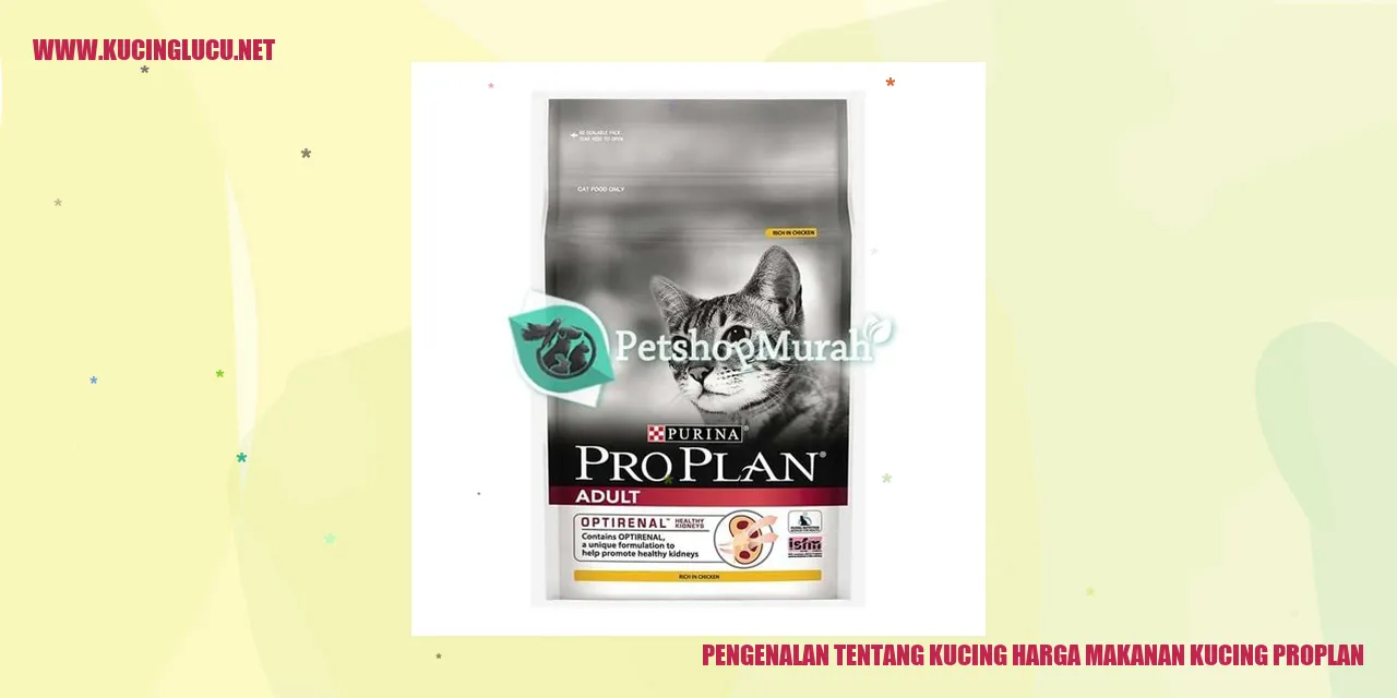 Gambar kucing dan makanan Proplan