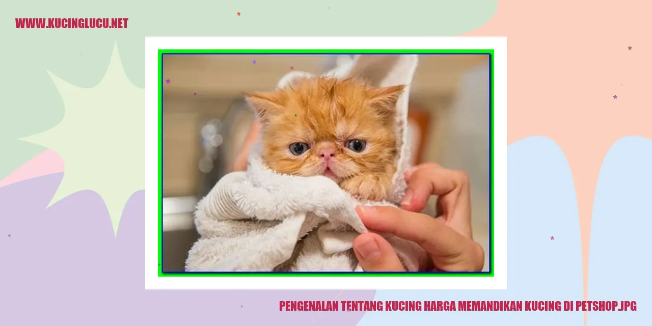 Gambar Kucing