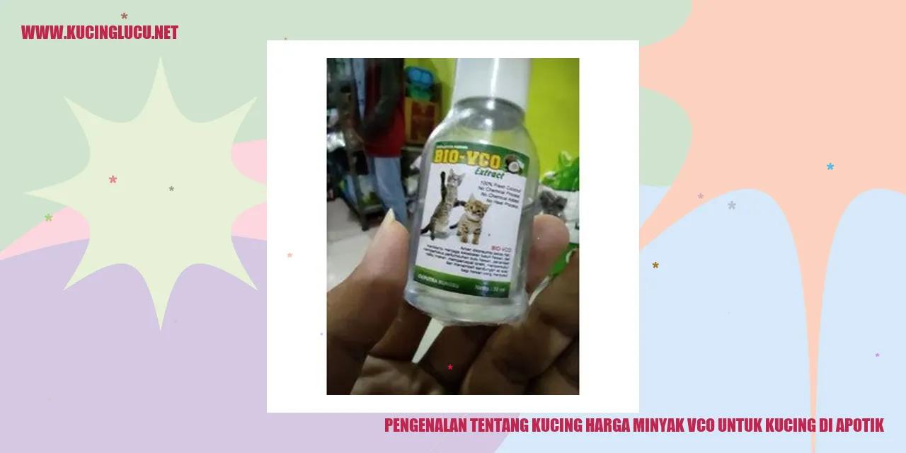 Gambar Kucing