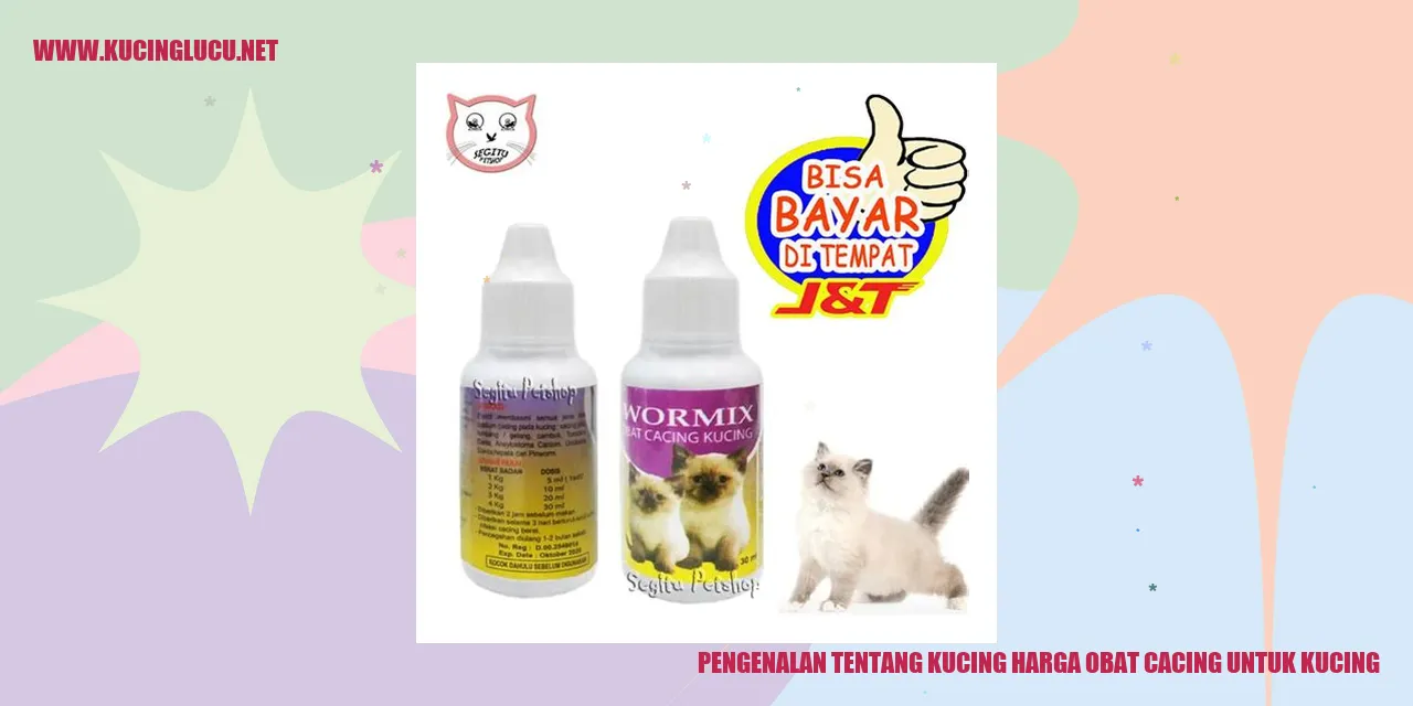Gambar Kucing