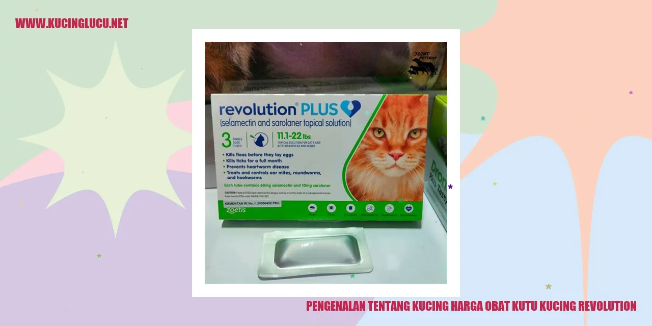 Gambar kucing