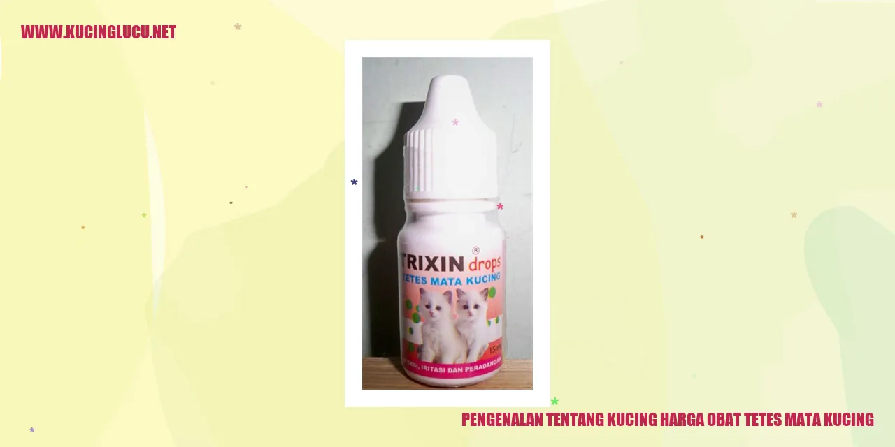 Gambar kucing