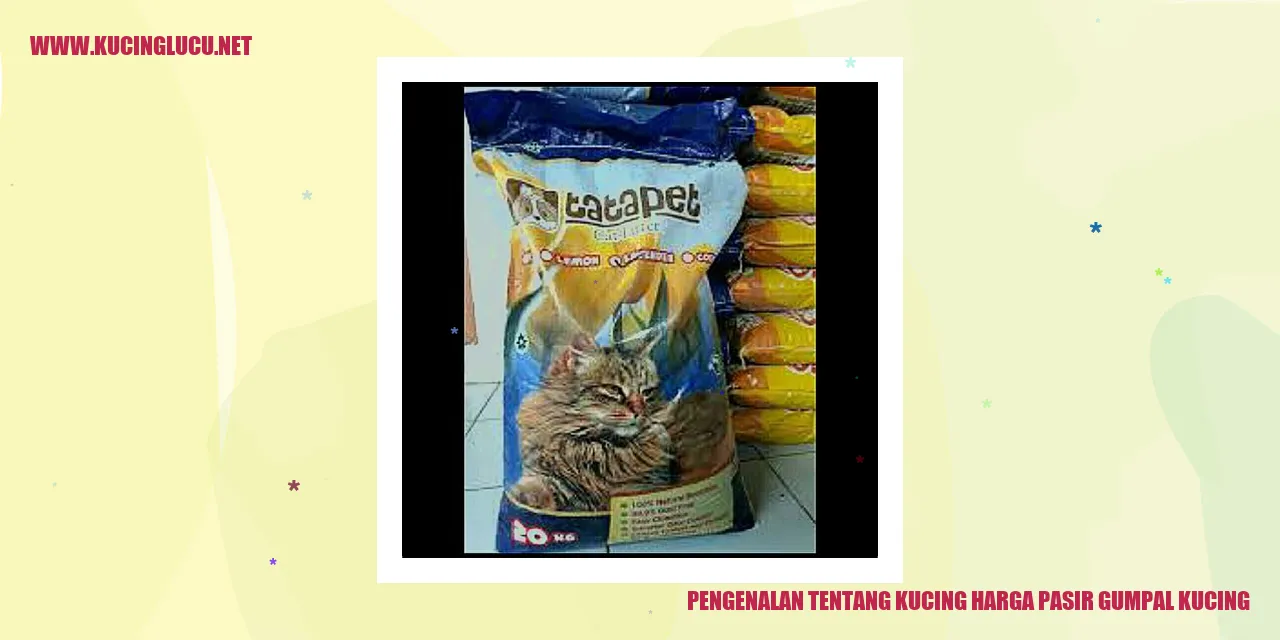 Gambar Kucing