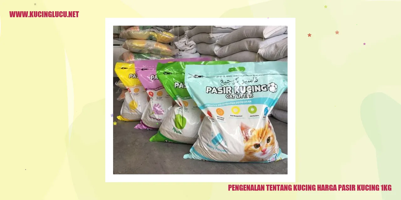 Kucing Menggunakan Pasir Kucing
