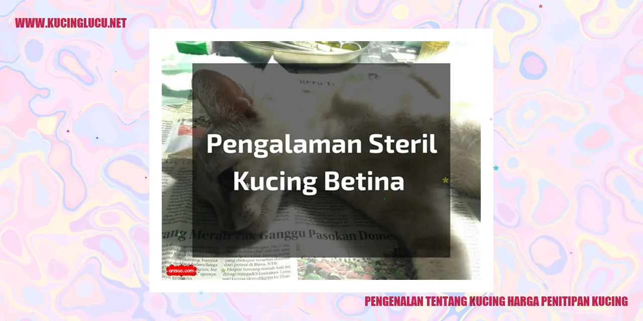 Gambar Kucing