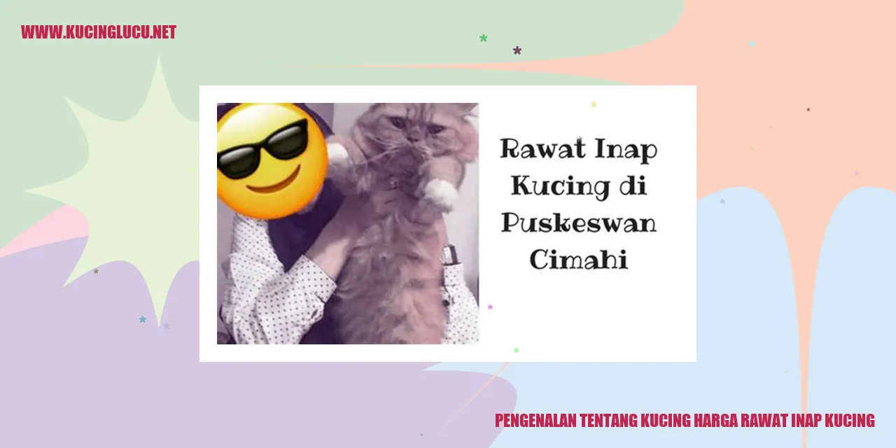 Kucing menggemaskan