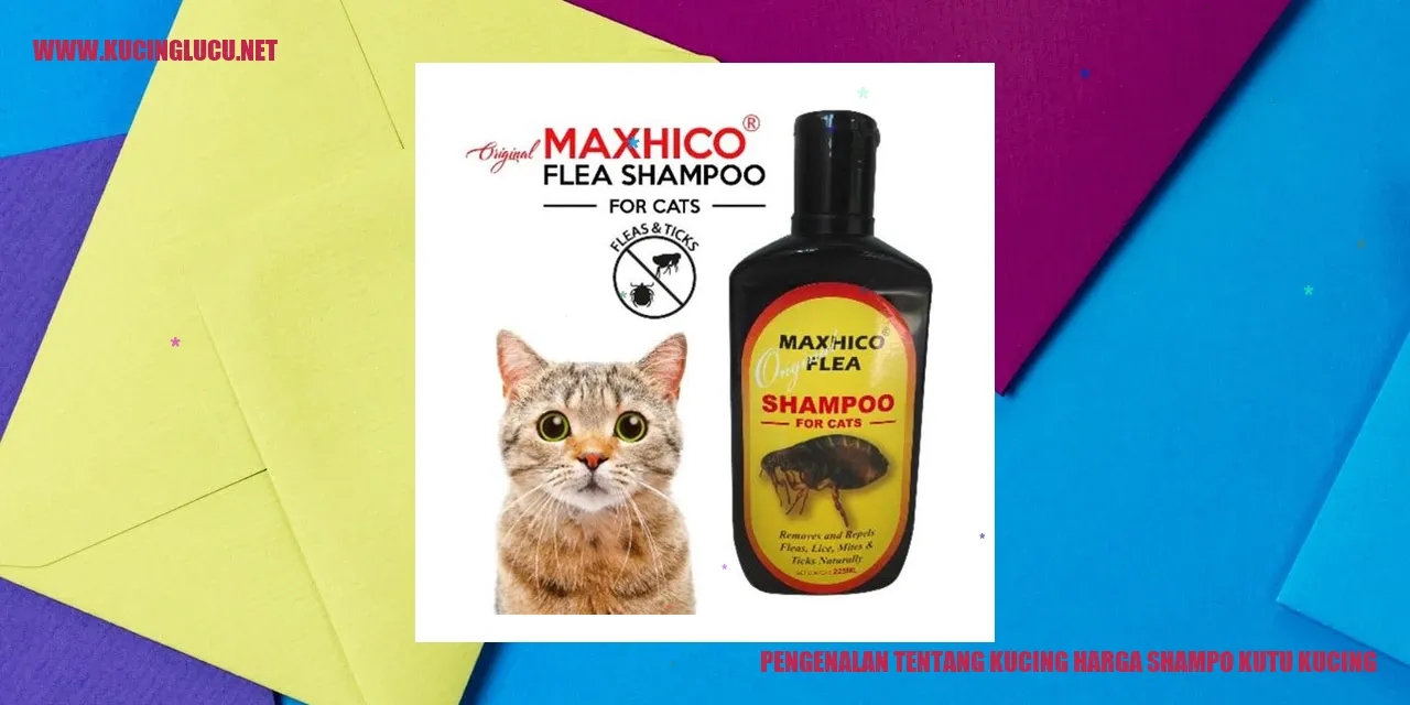 Gambar Kucing Menggemaskan