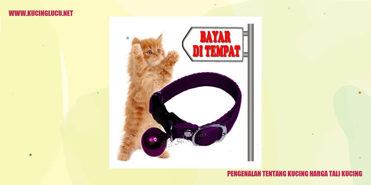 Pengenalan tentang Kucing harga tali kucing