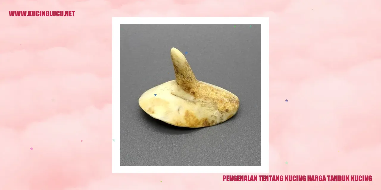 Potret Eksklusif Kucing Harga Tanduk Kucing