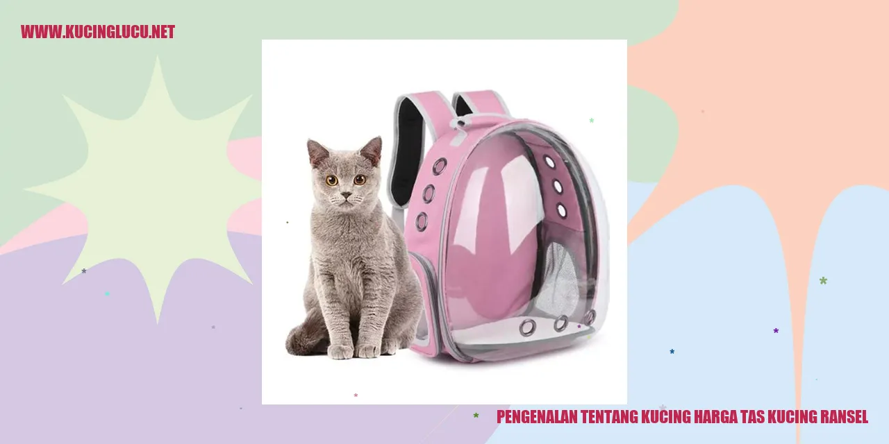 Gambar Kucing dan Tas Kucing Ransel