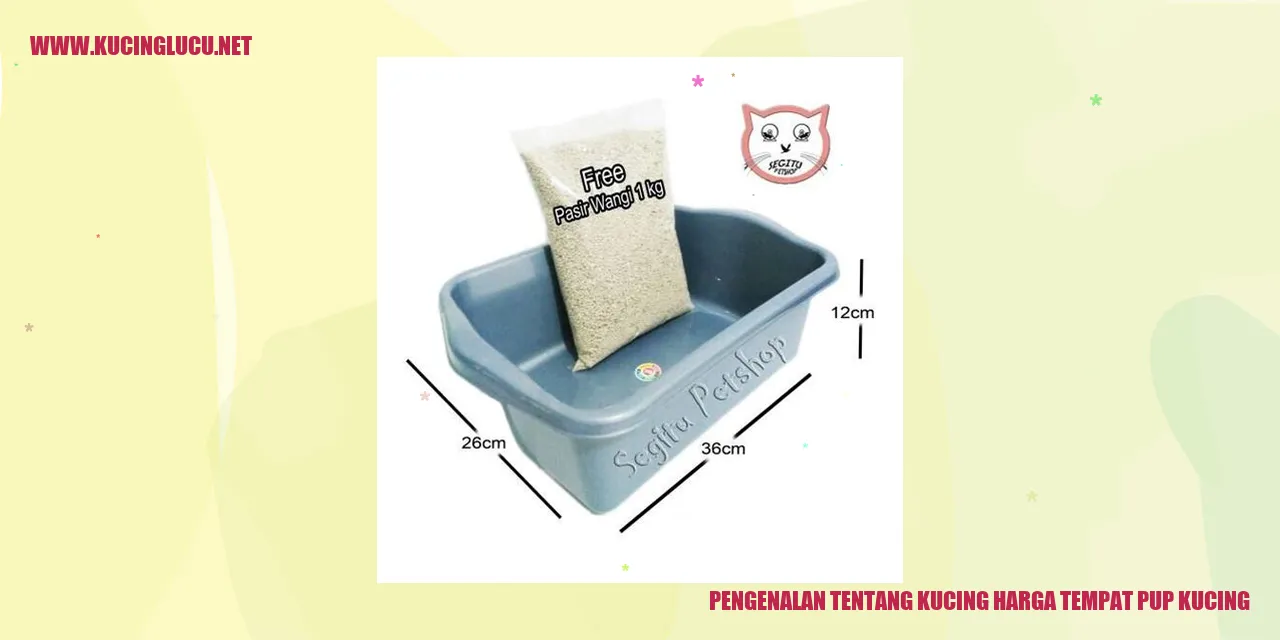 Kucing Lucu