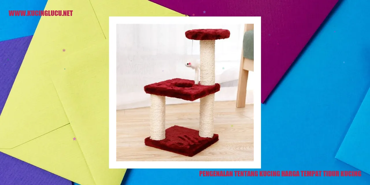 Kucing dan harga tempat tidur kucing
