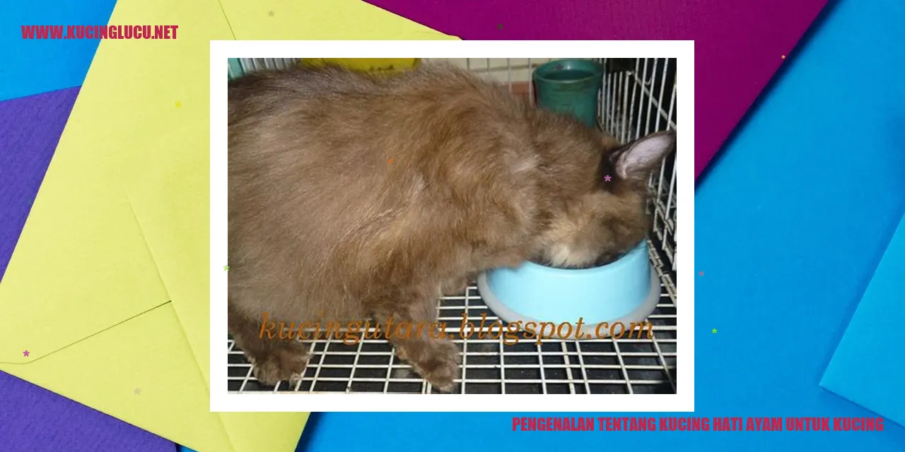 Kucing Hati Ayam
