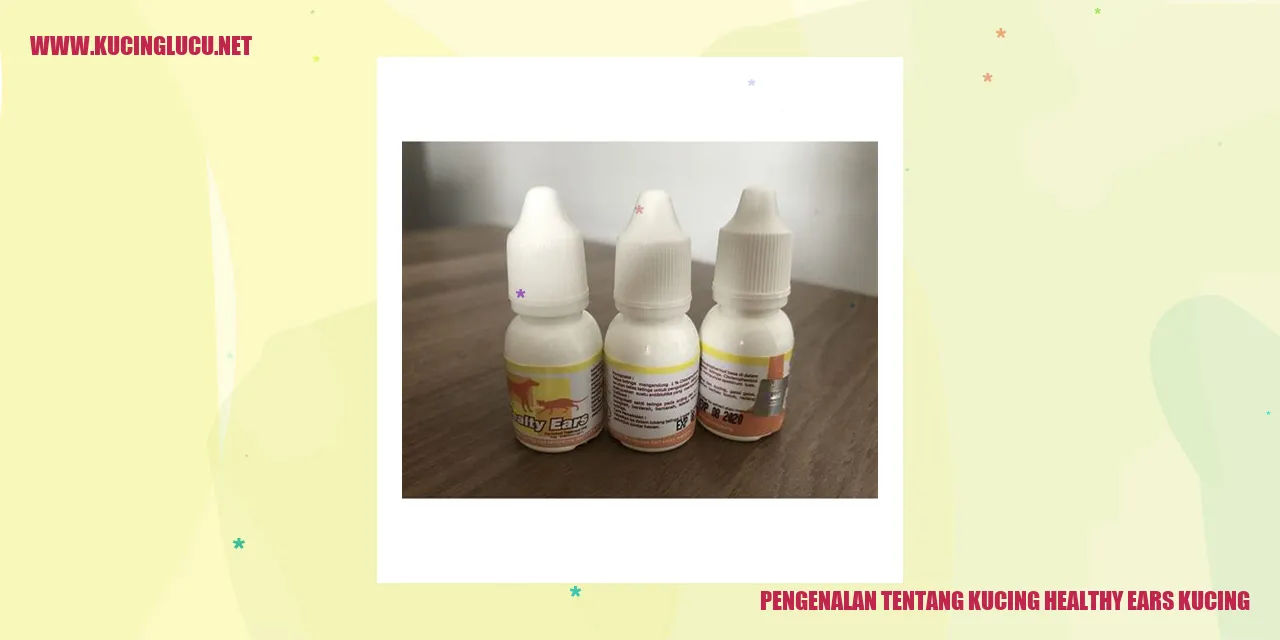 Gambar Kucing dengan Telinga Sehat