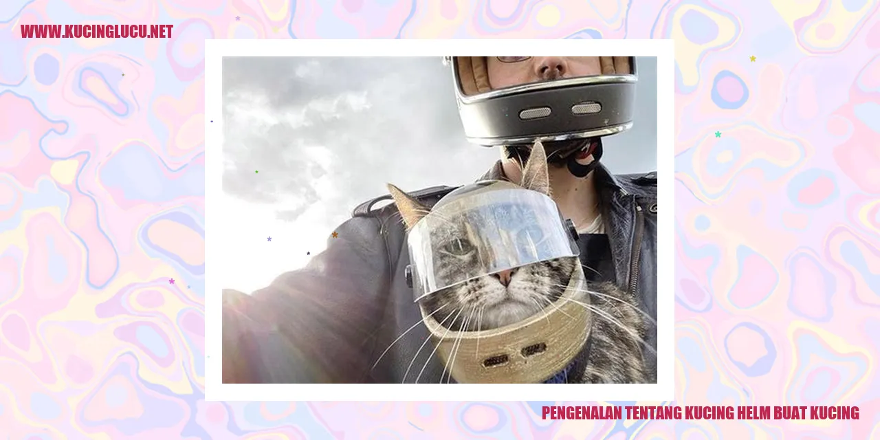 Gambar Kucing helm