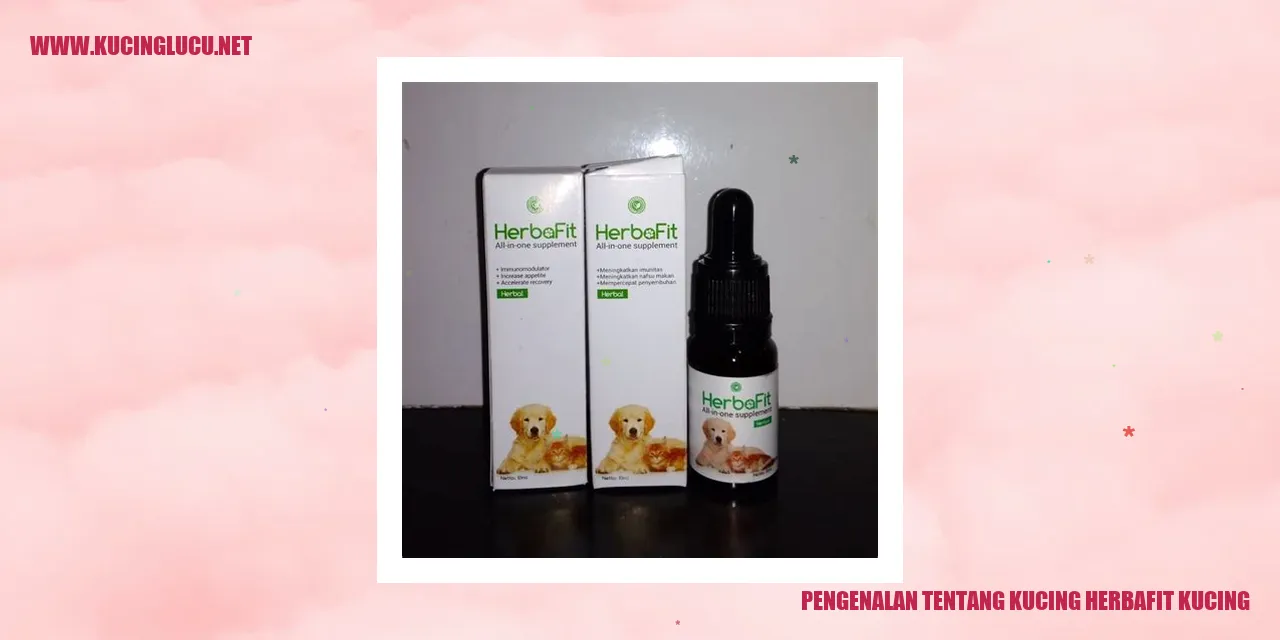 Kucing Herbafit