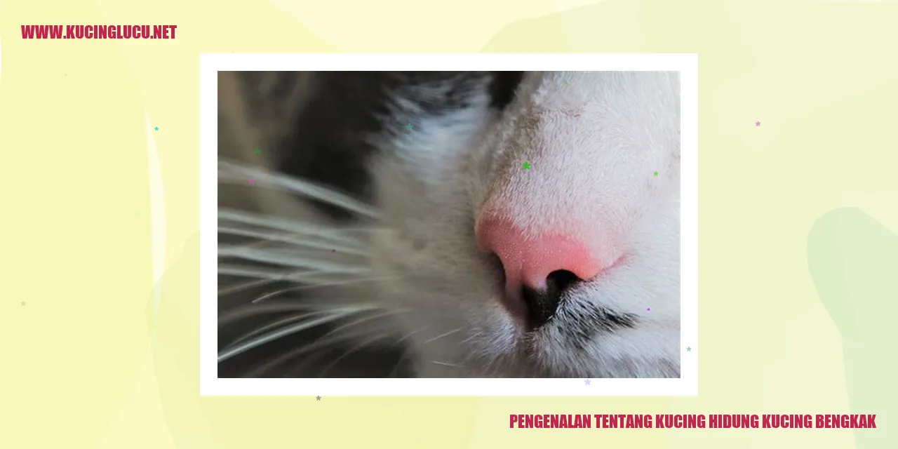 Kucing hidung bengkak