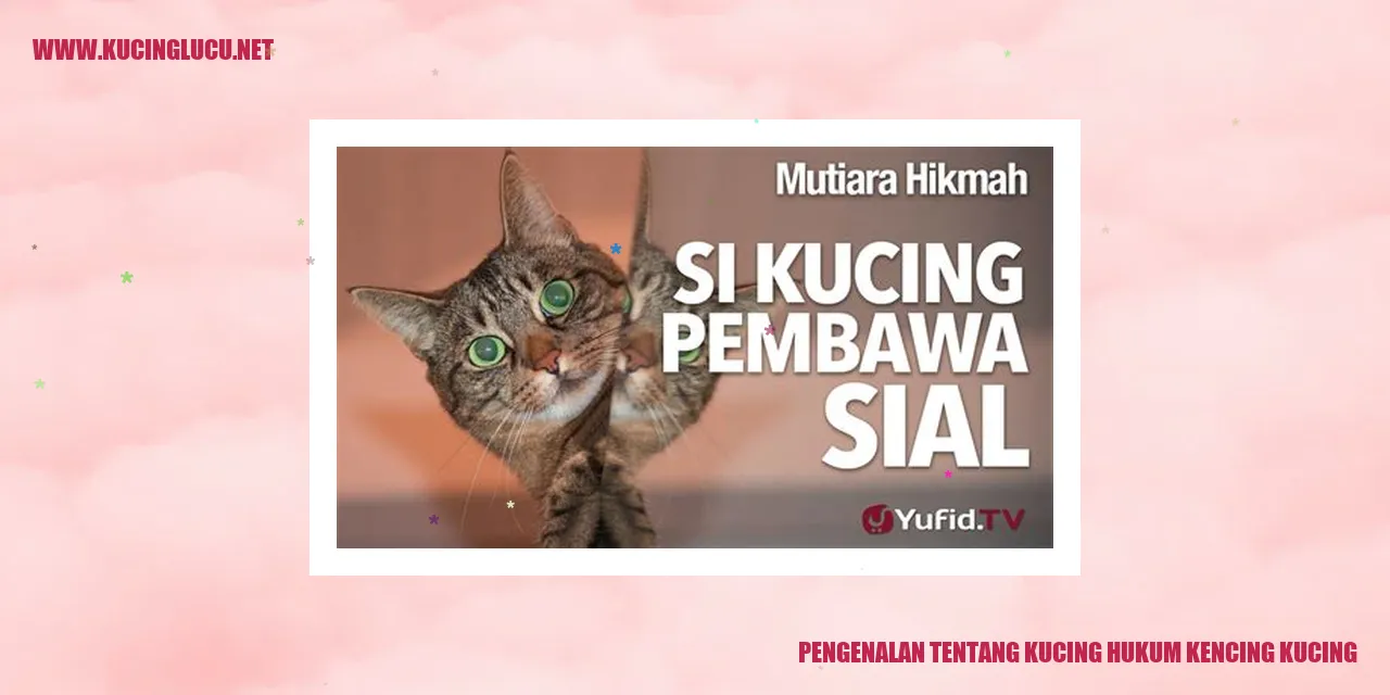 Gambar Kucing