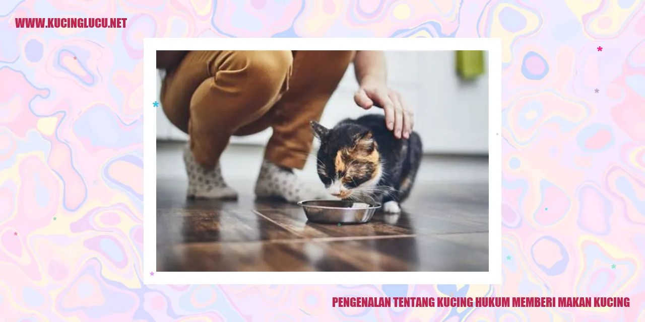 Gambar Kucing