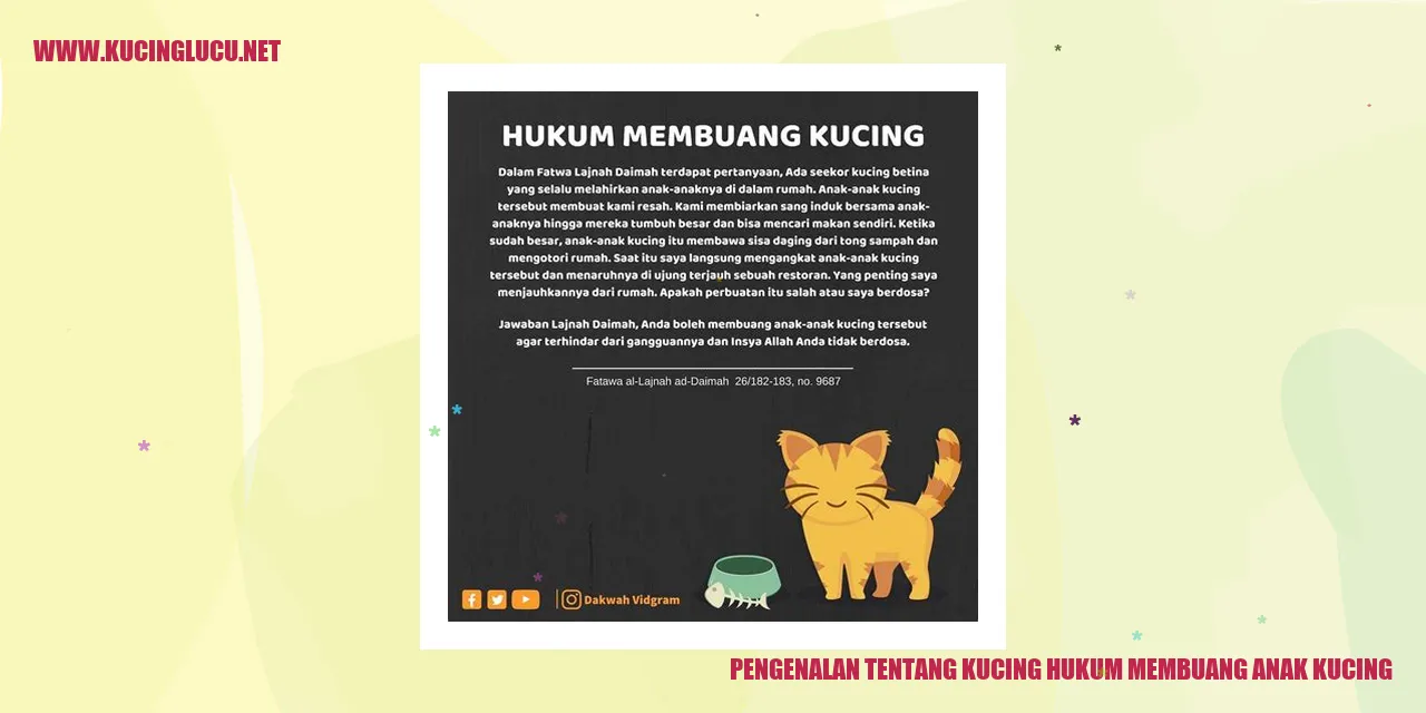 Kehadiran Kucing dan Hukum Pembuangannya