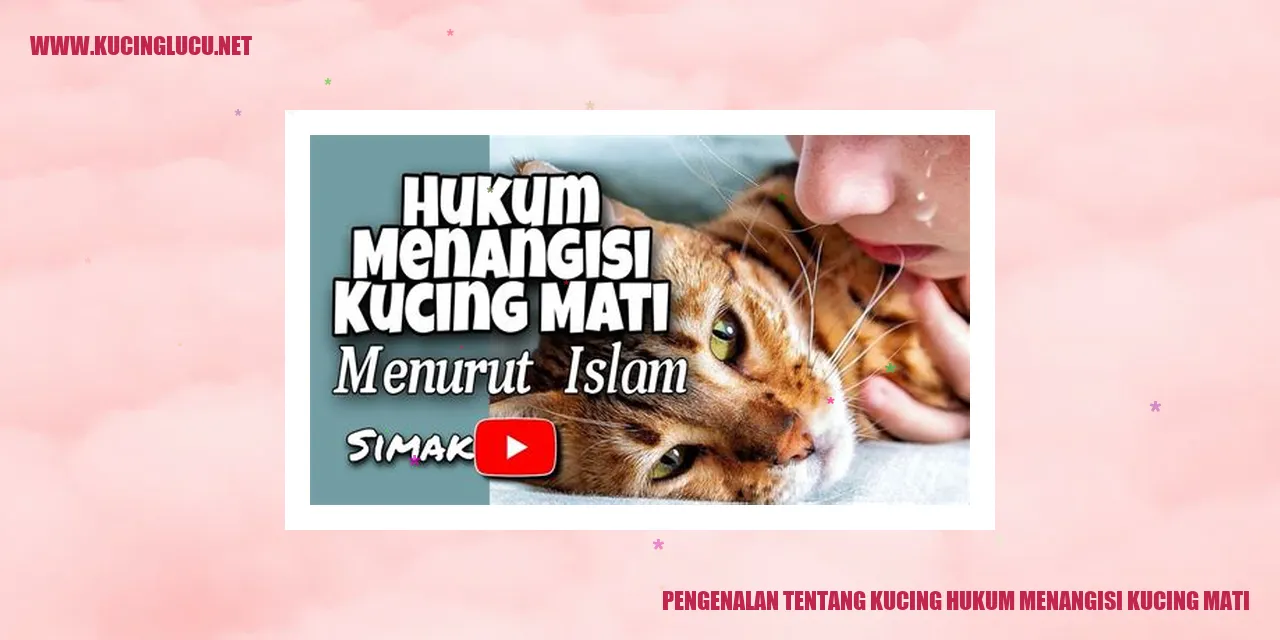 Potret Kucing yang Sedih