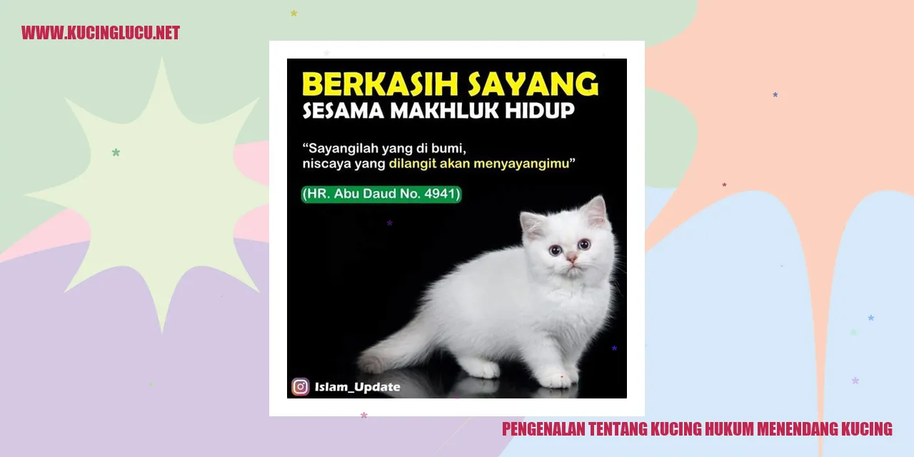 Gambar Kucing Lucu