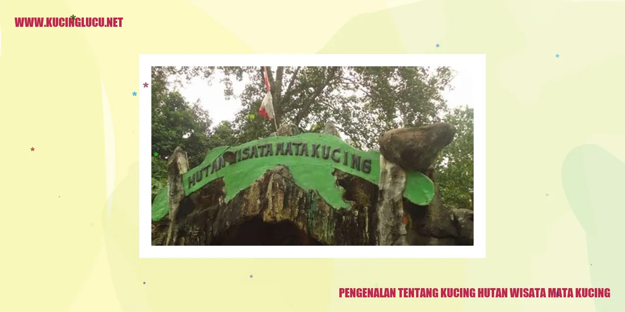 Kucing Hutan Wisata Mata Kucing