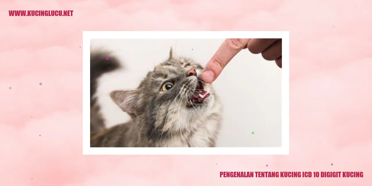 Kucing Terkena ICD 10 Gigitan Kucing