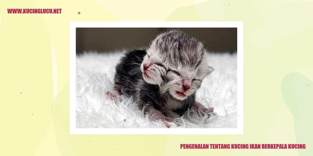 Gambar Kucing Ikan Berkepala Kucing