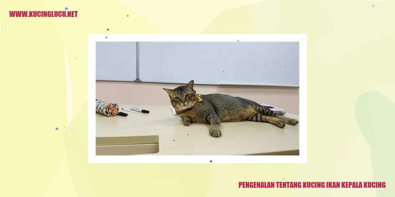 Kucing Ikan Kepala Kucing