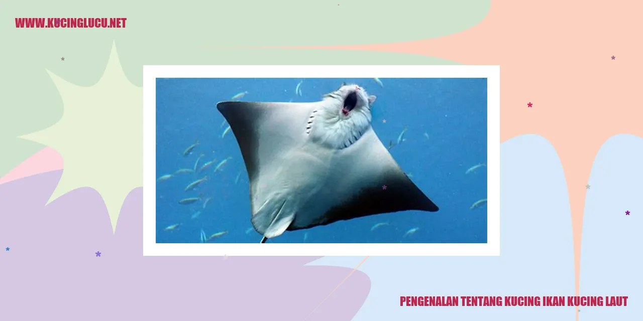 Gambar Kucing Ikan Kucing Laut