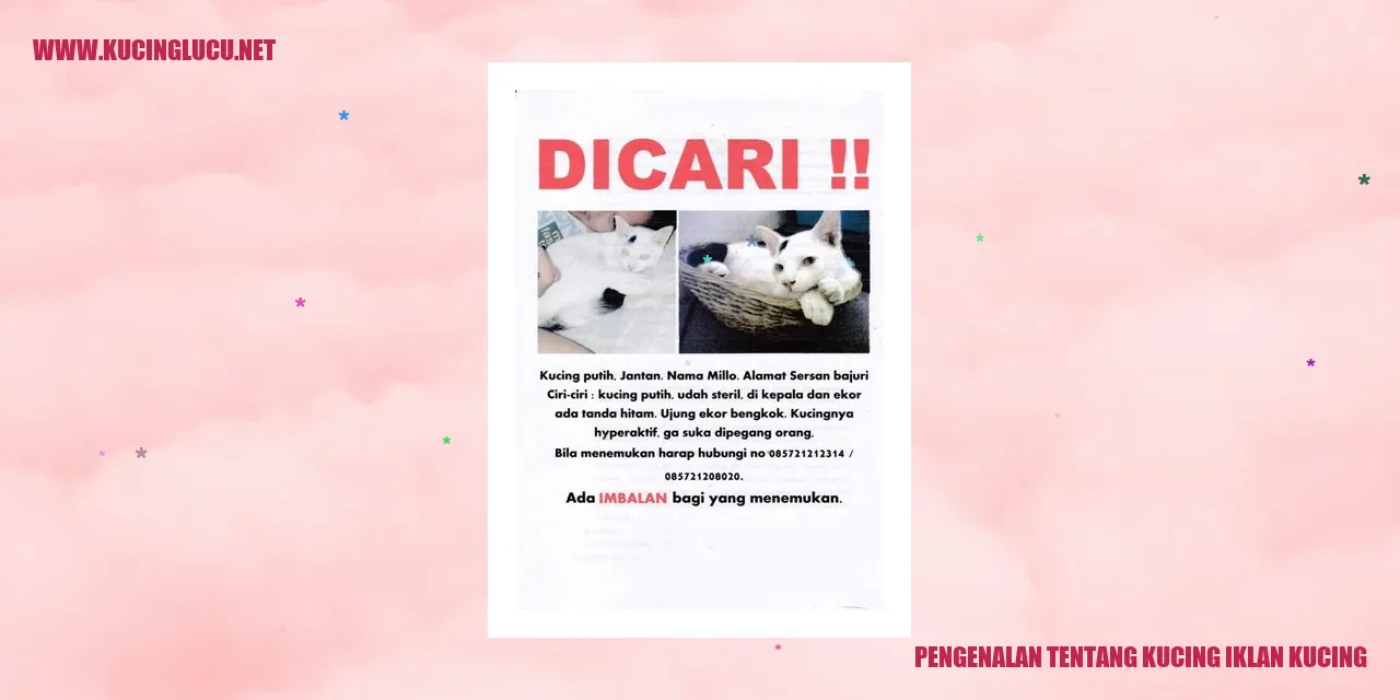 Kucing Iklan