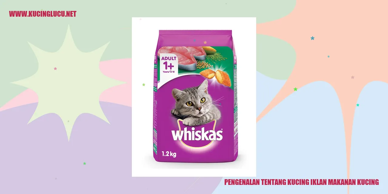 Gambar Kucing Iklan Makanan Kucing