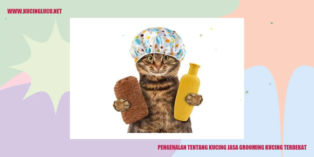 Grooming Kucing