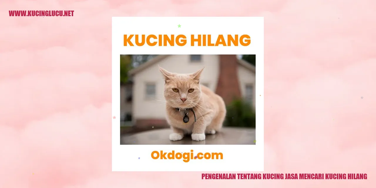 Gambar Kucing