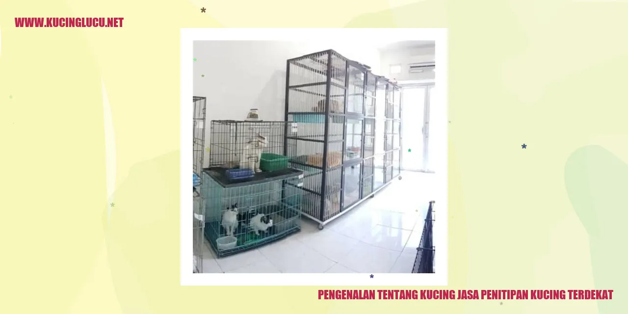 Kucing Jasa Penitipan
