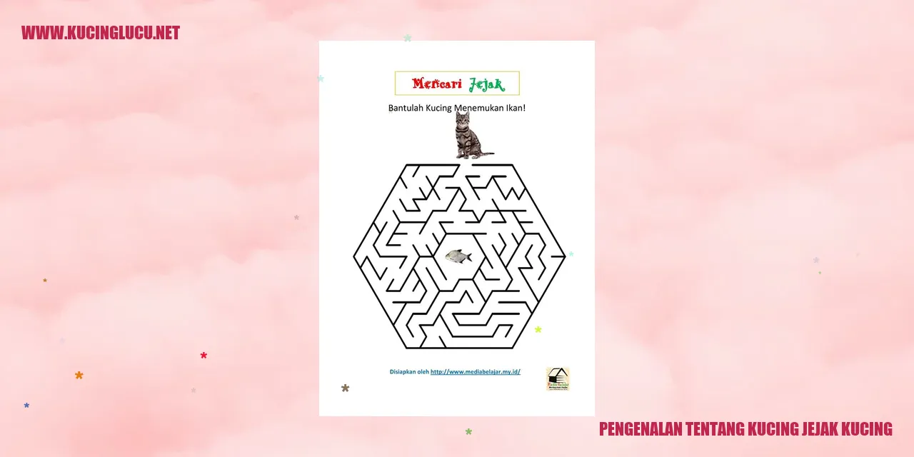 Gambar Kucing Jejak Kucing