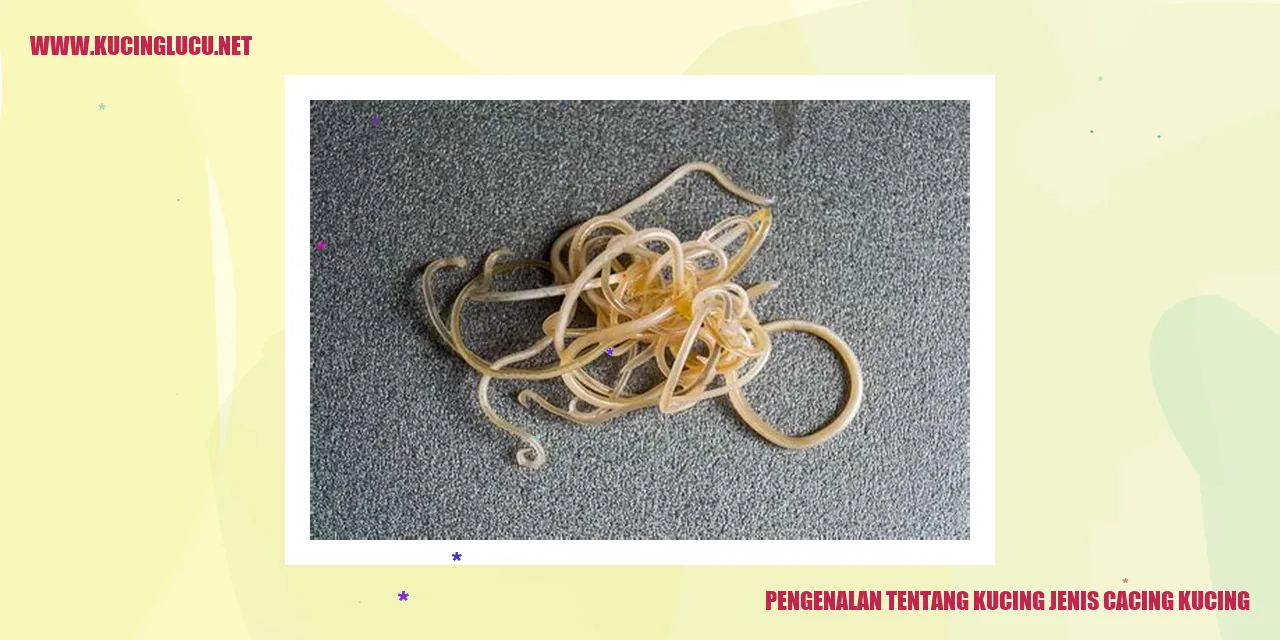 Gambar Kucing Cacing