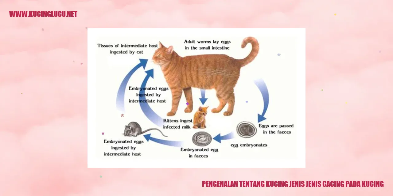 Kucing dan Cacing