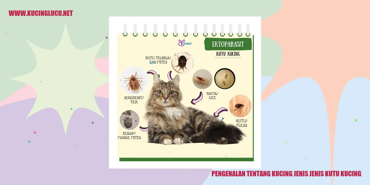 Kucing jenis-jenis kutu kucing