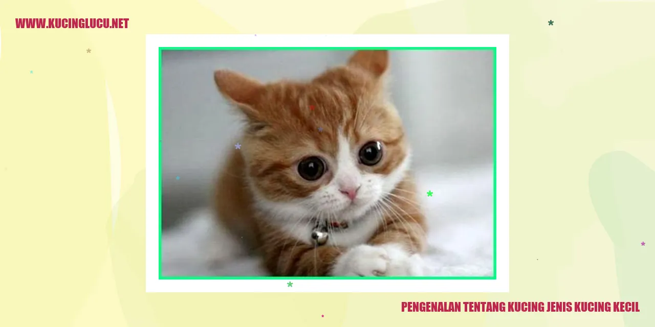 Ilustrasi Kucing Kecil