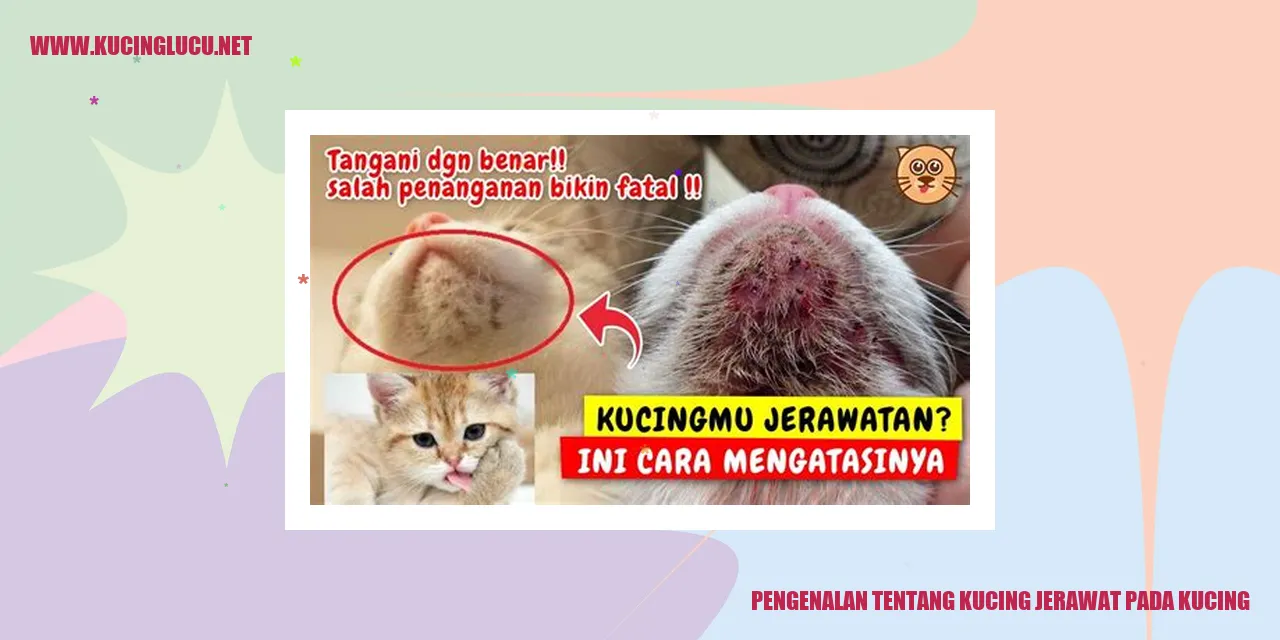 Kucing Jerawat