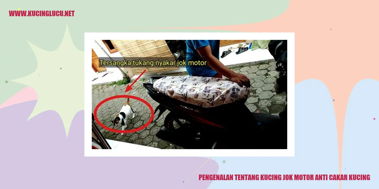 Kucing jok motor anti cakar kucing