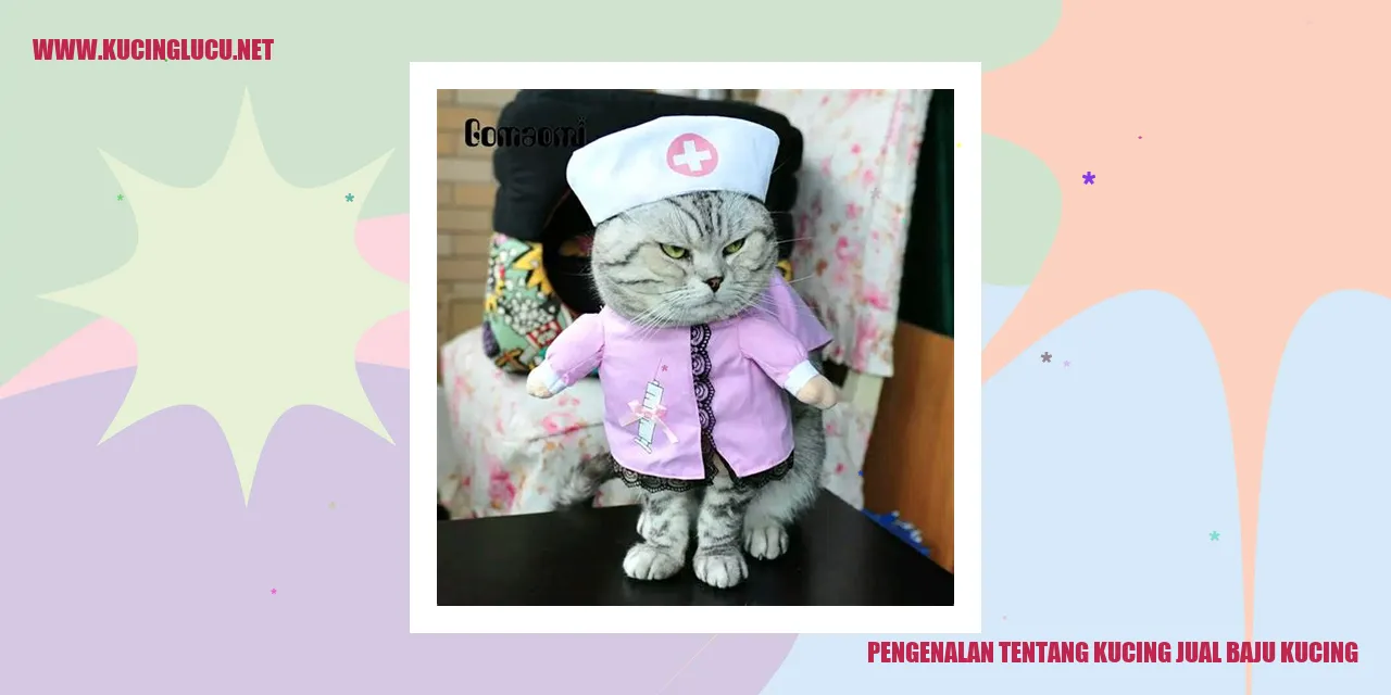 Gambar pengenalan tentang kucing jual baju kucing