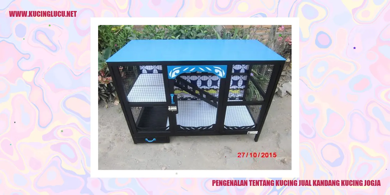 Kucing Jogja