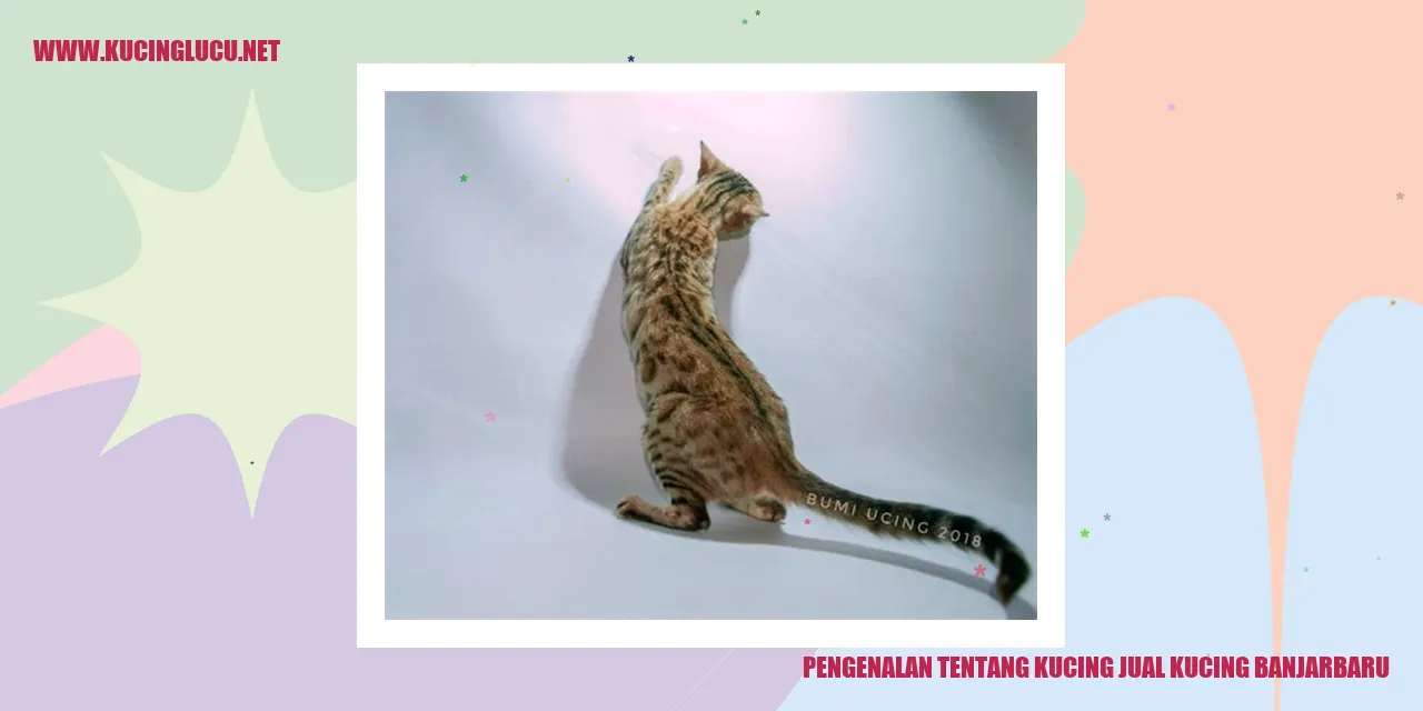 Gambar Kucing Lucu